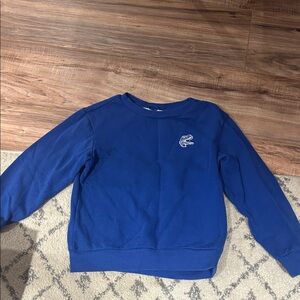 Boys size 6x/7 H&M Blue Sweatshirt with Dinosaur - love this top!